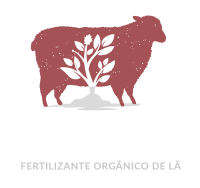 Boa Terra